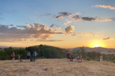 birdstories - 산 미니아토 - birdstories의 리뷰 - 트립어드바이저