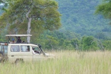 Marickys Safaris (2026) - All You MUST Know Before You Go (with Reviews & Photos)