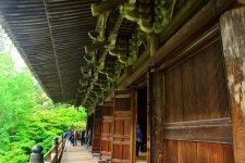 (2023) Full Day Private Himeji Castle Kokoen And Engyoji Tour in Hyogo