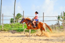 2023 Private 2-Hour Horseback Tour from Punta Cana