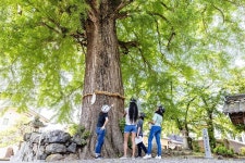 (2023) Rural Villages & Brewery Town: 1-Day E-Bike Tour Near Kyoto