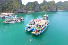 Minh Hoang Tourist - 하롱베이 - Minh Hoang Tourist의 리뷰 - 트립어드바이저