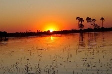 Bush Orchestra Safaris (Maun, Botswana): Hours, Address - Tripadvisor
