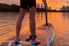 Stand-up Paddling Explore Saigon in your own way: More natural, more special - 호치민시 - Stand-up Paddling Explore Saigon in your... 