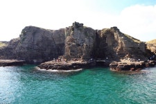 2024 Full-Day Jeju Island WEST Tour (entrance fee included)