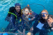 슈스프리다이브 | Dive Safari Whitsundays - Jubilee Pocket - Dive Safari Whitsundays의 리뷰 - 트립어드바이저