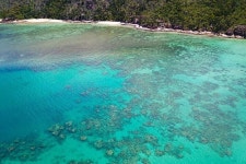 슈스프리다이브 | Dive Safari Whitsundays - Jubilee Pocket - Dive Safari Whitsundays의 리뷰 - 트립어드바이저