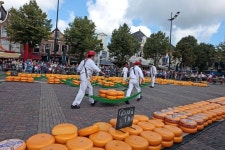 Niki Your TravelBuddy Alkmaar Highlight tour - 알크마르 - Niki Your TravelBuddy Alkmaar Highlight tour의 리뷰 - 트립어드바이저
