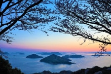 2024 Half Day Sakura Tour from Takamatsu to Mount Shiude