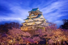 Mandana Tour Osaka - 오사카 - Mandana Tour Osaka의 리뷰 - 트립어드바이저