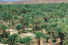 berber travel - 마라케시 - berber travel의 리뷰 - 트립어드바이저