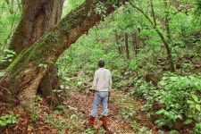 Finca La Fé - Santa Clara - Finca La Fé의 리뷰 - 트립어드바이저