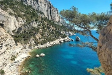 2024 Mediterranean Dream: Cassis, Full Calanques Boat Ride and Wine