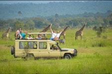 Bajuta Travels - All You SHOULD Know Before Going (2026 Reviews)