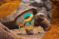 Visit Galapagos (2025) - All You Need to Know BEFORE You Go (with Reviews)