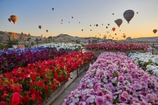 Tourla Cappadocia (2025) - All You Need to Know BEFORE You Go (with Reviews)