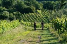 Astrocycling - 루카 - Astrocycling의 리뷰 - 트립어드바이저