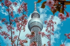 Japan Global Travel - Asakusa - Japan Global Travel의 리뷰 - 트립어드바이저