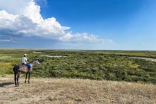 Taiburyldyn Shabysy: Horse Tours and Adventures - 누르술탄 - Taiburyldyn Shabysy: Horse Tours and Adventures의 리뷰... 