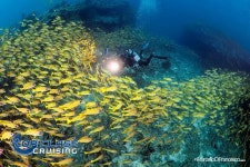 Top Class Cruising - 말레 - Top Class Cruising의 리뷰 - 트립어드바이저