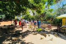 Roatan Diana’s Tours - Coxen Hole - Roatan Diana’s Tours의 리뷰 - 트립어드바이저