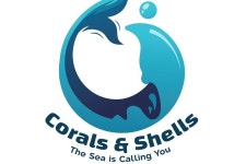 Corals And Shells Diving Center (2025) - All You Need to Know BEFORE You Go (with Reviews)