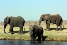 GUIDED WALKING TOURS & SAFARIS (2025) - All You Need to Know BEFORE You Go (with Reviews)