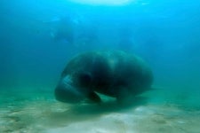 San Juan Snorkel - 산후안 - San Juan Snorkel의 리뷰 - 트립어드바이저