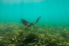 San Juan Snorkel - 산후안 - San Juan Snorkel의 리뷰 - 트립어드바이저