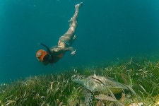 San Juan Snorkel - 산후안 - San Juan Snorkel의 리뷰 - 트립어드바이저