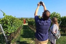 Wine & Vine Tours Inc. - 울프빌 - Wine & Vine Tours Inc.의 리뷰 - 트립어드바이저
