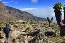 Kilimanjaro climbing Packages - 모시 - Kilimanjaro climbing Packages의 리뷰 - 트립어드바이저