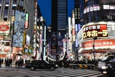 Nippon Sakura Tours - 신주쿠 - Nippon Sakura Tours의 리뷰 - 트립어드바이저