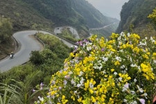 Bon Bon Travel (Bac Ha, Vietnam): Address, Phone Number, - Tripadvisor Bon Bon Travel (Bac Ha, Vietnam): Address, Phone Number... 