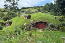 Travel Weavers - 오클랜드 - Travel Weavers의 리뷰 - 트립어드바이저