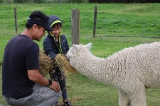 Silverstream Alpaca Farm Tour - 크라이스트처치 - Silverstream Alpaca Farm Tour의 리뷰 - 트립어드바이저