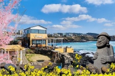 Jeju Love Korea - 제주 - Jeju Love Korea의 리뷰 - 트립어드바이저