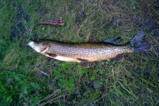 Lapland Fishing Ltd. - 로바니에미 - Lapland Fishing Ltd.의 리뷰 - 트립어드바이저