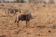 Explore Galore Tours and Safaris (2025) - All You Need to Know BEFORE You Go (with Reviews)