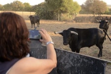 Experiences Via de La Plata - 구일레나 - Experiences Via de La Plata의 리뷰 - 트립어드바이저