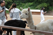 주식회사 동성투어 (Seoul, South Korea): Hours, Address - Tripadvisor