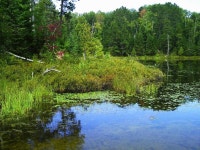 2025년 미국 Side Lake 여행정보 - Tripadvisor - Side Lake 여행
