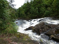 리스모어 공원 / 자연명소 BEST 5 - Tripadvisor - 트립어드바이저