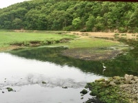 Kings Park 공원 / 자연명소 BEST 5 - Tripadvisor - 트립어드바이저