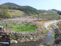 경산 소재 공원: 경산 소재 공원 확인 - 트립어드바이저