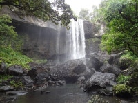 Millaa Millaa 소재 농장: Millaa Millaa 소재 곳의 농장 확인 - 트립어드바이저