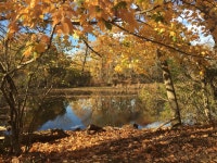 뉴 헤이븐 액티비티 / 게임 BEST 10 - Tripadvisor - 트립어드바이저