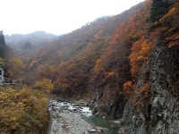 Nakauonuma-gun: All You Must Know Before You Go (2025) - Tripadvisor