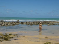 Novo Brasil, Brazil: All You Must Know Before You Go (2024) - Tripadvisor