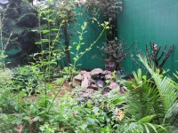 웨스트포드 소재 목장: 웨스트포드 소재 목장 확인 - 트립어드바이저